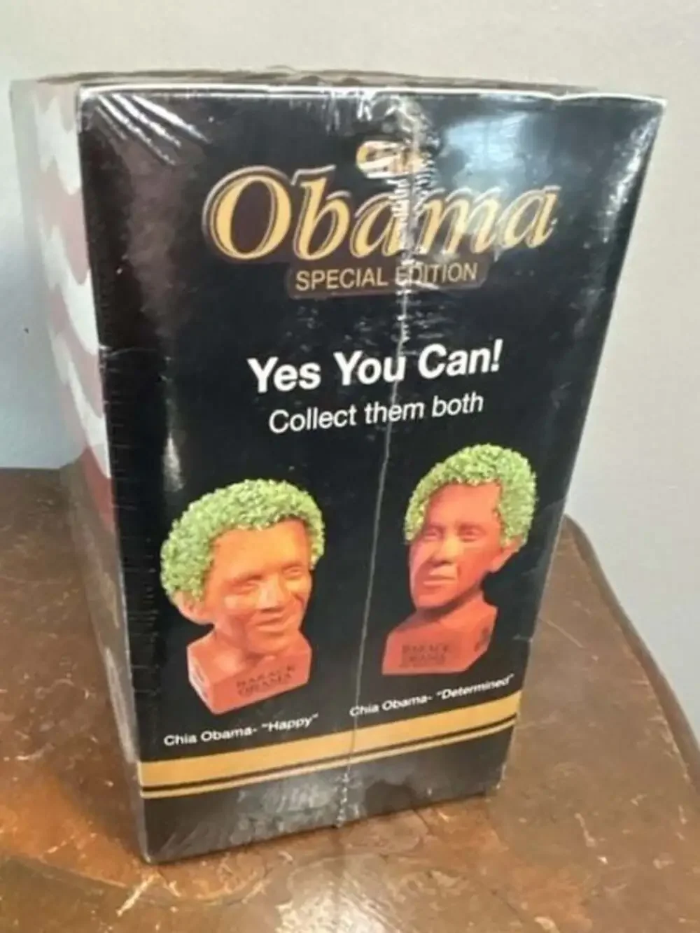 Chia Pet determined he